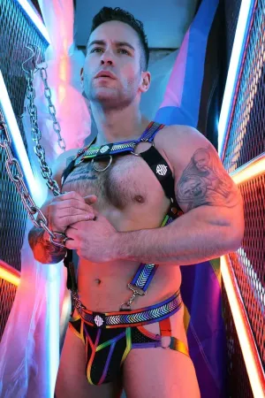 PURE PRIDE HARNESS